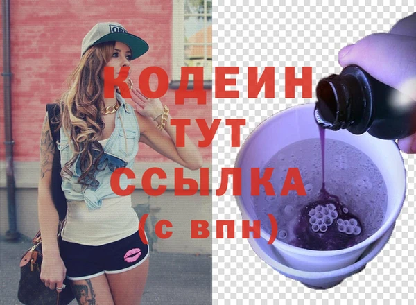 гашик Алзамай