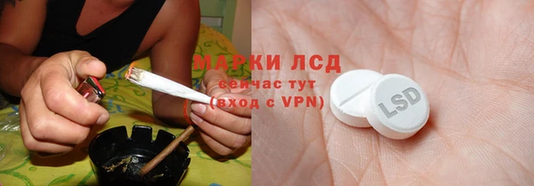 гашик Алзамай