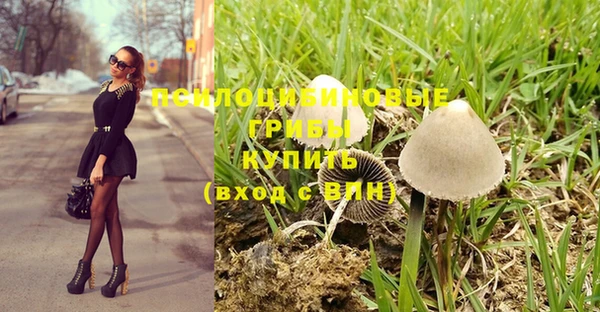 МДПВ Алексин